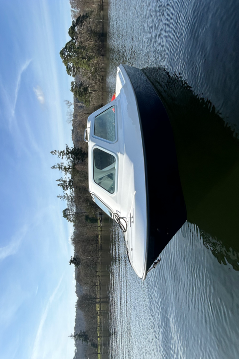 White boat on calm water with tree-lined shore in the background.